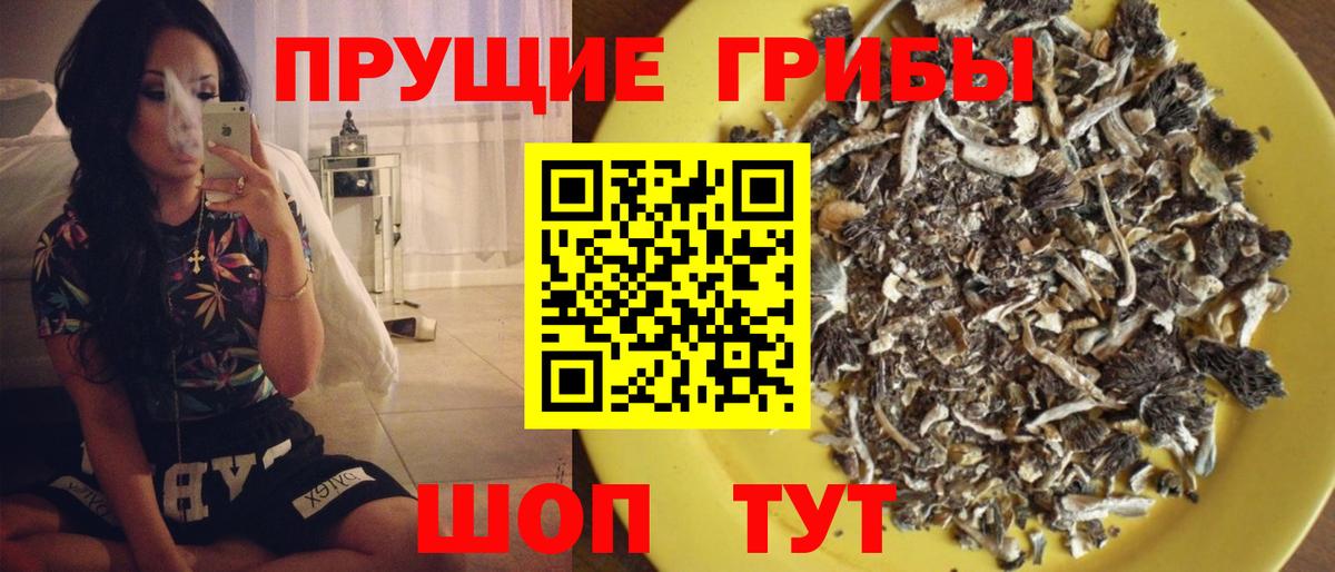 Псилоцибиновые грибы мицелий  Вход с VPN  где найти   Псилоцибиновые грибы Psilocybine cubensis  Рославль 
